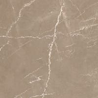 Earth polerad 60x60 såg