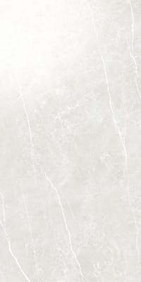 Silver polerad 60x120 såg