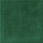 Grön blank 10x10