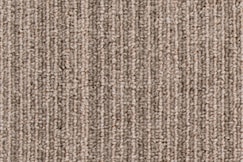 Stripe mullvad 50x50