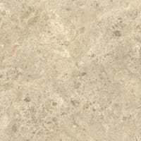 Ambrosia 60x60 såg