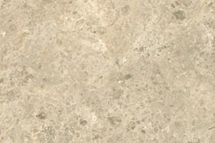 Ambrosia 60x60 såg