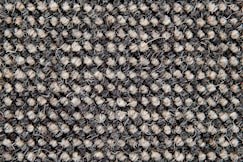 Steam Coal