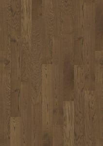 Oak Hazel