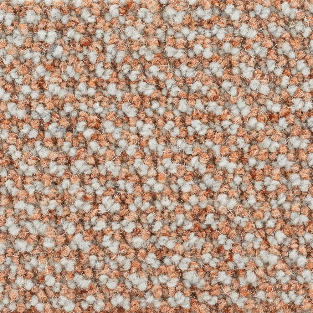Coral Island