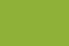 Apple blank 15x15